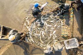 CHINA-HUNAN-WINTER FISH CATCHING (CN)