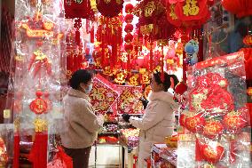 #CHINA-SPRING FESTIVAL-PREPARATION (CN)