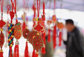 #CHINA-SPRING FESTIVAL-PREPARATION (CN)