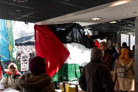 Pro-Palestine Rally - Toulouse