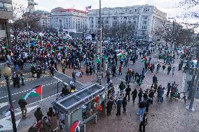 Pro-Palestine March In Washington