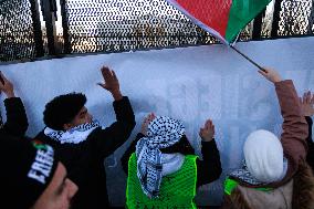 Pro-Palestine March In Washington