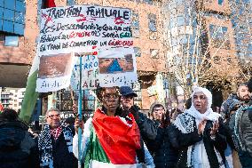 Demonstration In Support Of Gaza And All Palestine - Toulouse