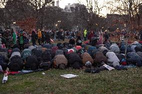 March For Gaza - Washington