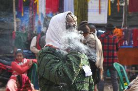 Makar Sankranti Festival In India