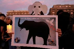 International Candlelight Vigil For Elephants