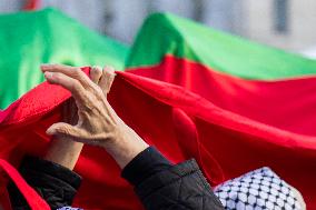 Pro-Palestine Rally - Washington