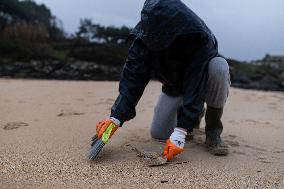 Plastic Pellets Polluting Spanish Beaches After Container Ship Spill