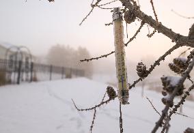 Cold Records Shattered Across Alberta