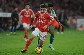 I Liga: Benfica vs Rio Ave