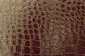 Crocodile Skin