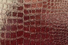 Crocodile Skin