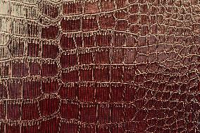 Crocodile Skin