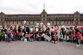 Global Kite Flight In Solidarity With Gaza - Mexico City