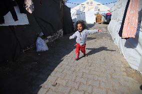 Daily Life Of Displaced Palestinians - Gaza