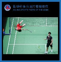 (SP)XINHUA SPORTS PHOTO OF THE WEEK