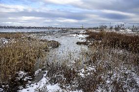 Kuialnyk Estuary in winter