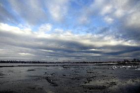 Kuialnyk Estuary in winter