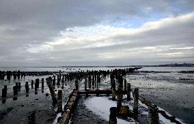 Kuialnyk Estuary in winter