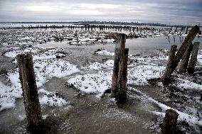 Kuialnyk Estuary in winter