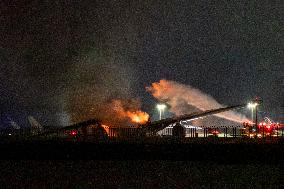 Japan Airlines and Japan Coast Guard plane crash and burn at Haneda Airport