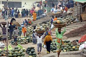 Farmers Bring Pumpkins To The Market - Dhaka