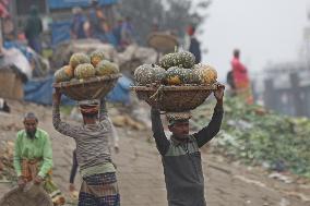 Farmers Bring Pumpkins To The Market - Dhaka