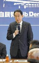 Japan ruling party's political reform panel
