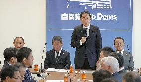 Japan ruling party's political reform panel