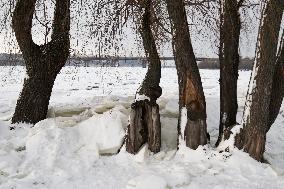 Icebound Dnipro River banks in Kyiv