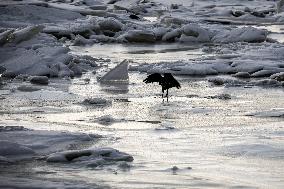 Icebound Dnipro River banks in Kyiv