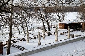 Kyiv in winter