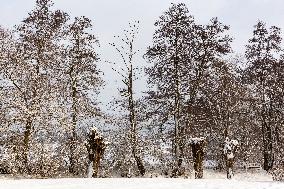 Blizzard Hits Southern Poland