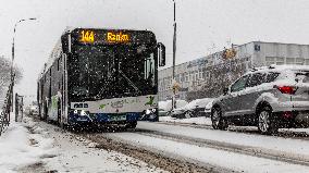 Blizzard Hits Southern Poland