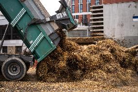 Demonstration by Young Farmers - Toulouse