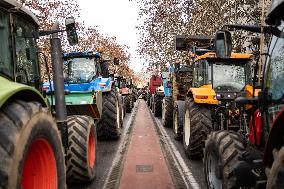 Demonstration by Young Farmers - Toulouse