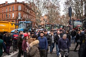 Demonstration by Young Farmers - Toulouse