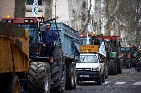 Farmers Protest In Toulouse