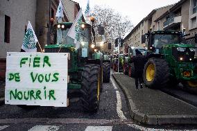 Farmers Protest In Toulouse