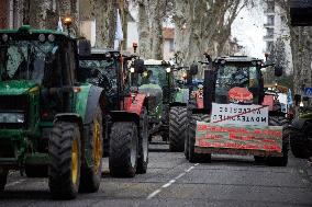 Farmers Protest In Toulouse