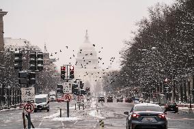 Washington DC Snow Storm Day