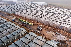 Greenhouse Construction in Congjiang