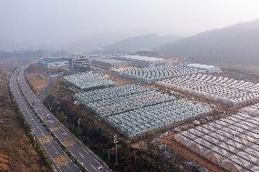 Greenhouse Construction in Congjiang