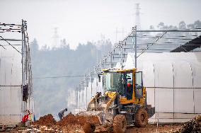 Greenhouse Construction in Congjiang