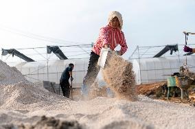 Greenhouse Construction in Congjiang