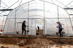 Greenhouse Construction in Congjiang