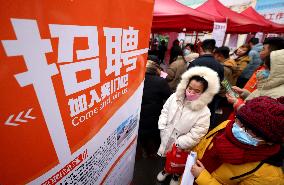 2024 Job Fair in Zaozhuang