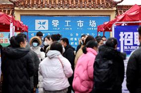 2024 Job Fair in Zaozhuang