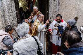 Blessing Of Pets - Madrid
