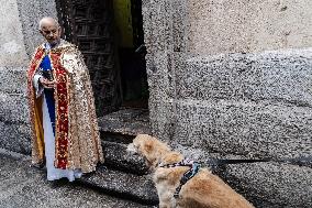 Blessing Of Pets - Madrid